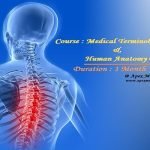 Terminology & Anatomy (1 Month) -Online / Onsite