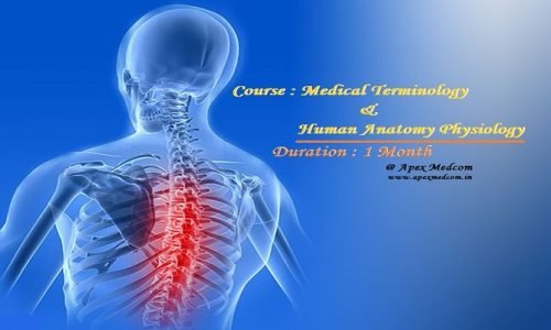 Terminology & Anatomy (1 Month) -Online / Onsite