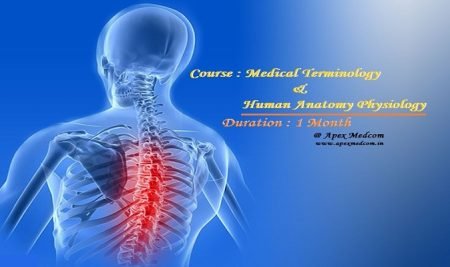Terminology & Anatomy is backbone of Medical coding & CPC