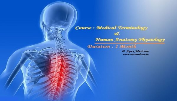 terminology-anatomy-is-backbone-of-medical-coding-cpc-apex-medcom